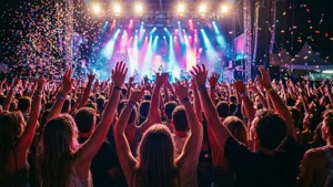 Festival Frenzy