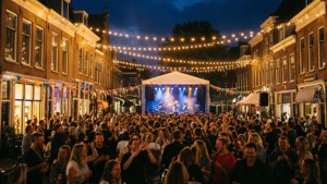 Festival Lights