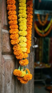 Festive Marigold Garland
