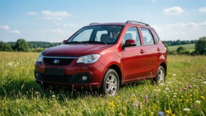 Field of Flowers Lifan