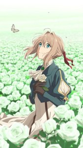 Field of White Roses