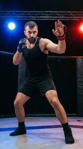 Fighting Stance Ready