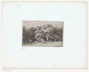 Figuur met koe aan de rand van het Forêt de Fontainebleau