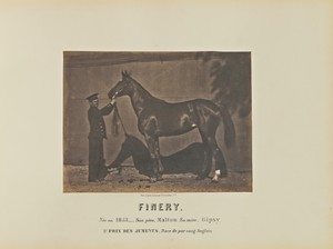 Finery