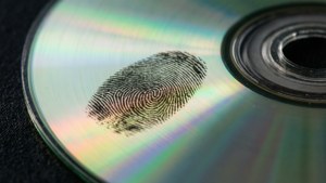 Fingerprint on the Disc