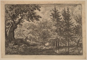 Fir Trees at the Water