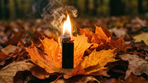 Fire Leaves Lighter