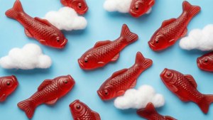 Fish in the Sky