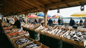 Fish Market Bustle