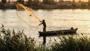 Fisherman on the Nile