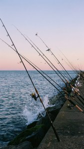 Fishing at Breakwater