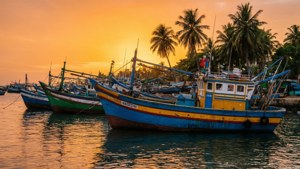 Fishing Boats at Ilha