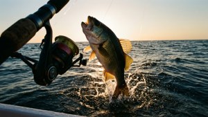 Fishing Victory Silhouette
