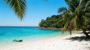 Fitzroy Island Beach