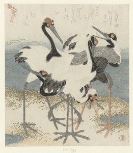 Five Cranes