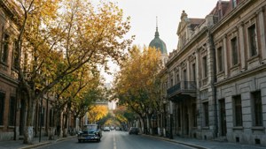 Five Great Avenues Autumn
