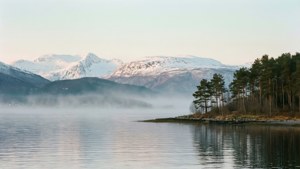 Fjord Morning Mist