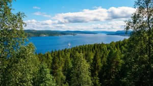 Fjord View Summer Hike