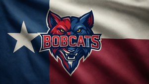 Flag and Logo Wave