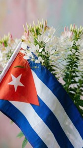 Flag and Mariposa Flowers