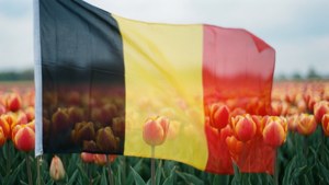 Flag and Tulips Double Exposure