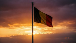 Flag at Sunset