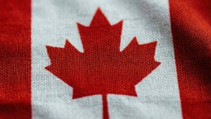 Flag Fabric Close-Up