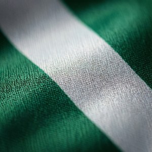 Flag Fabric Close-Up