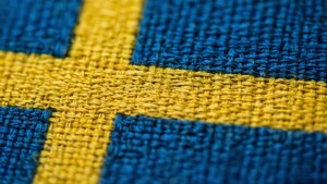 Flag Fabric Texture