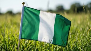 Flag in Green Field