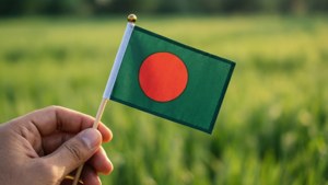 Flag in Hand
