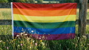 Flag in Meadow
