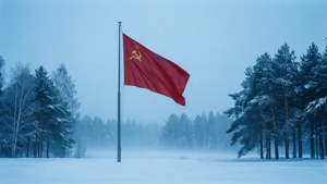 Flag in Winter Snow