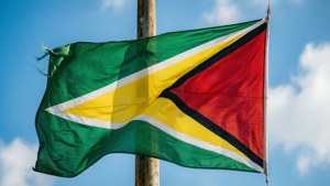 Flag of Guyana Waving
