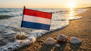 Flag on Beach