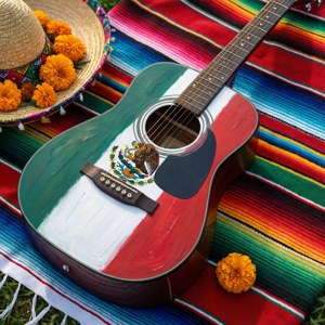 Flag on Mariachi Guitar