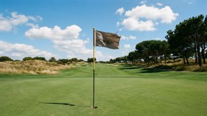 Flag on the Green