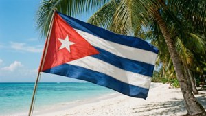 Flag on Tropical Beach