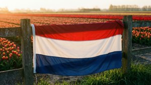 Flag Over Tulip Field