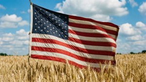 Flag Over Wheat Field
