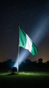 Flag Under Night Sky