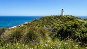 Flagstaff Point View