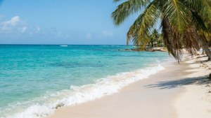 Flamenco Beach Paradise