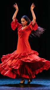 Flamenco Passion Spiral