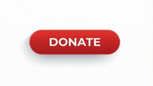 Flat Donation Button