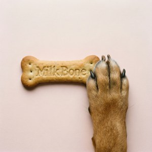 Flat Lay Milk Bone Paw