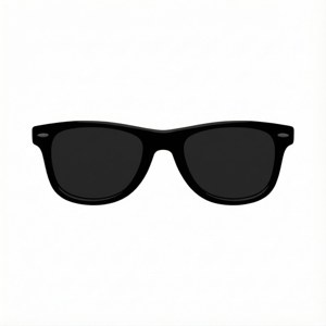 Flat Wayfarer Icon