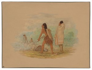 Flathead Indians