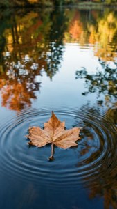 Floating Autumn Leaf