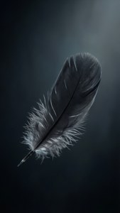 Floating Black Feather